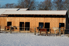 Paddockboxen - Pferdepension Am Rosengarten