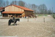 Pferdepension Am Rosengarten