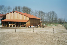 Pferdepension Am Rosengarten