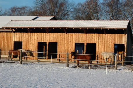 Pferdepension Am Rosengarten