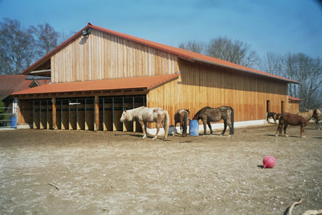 Pferdepension Am Rosengarten