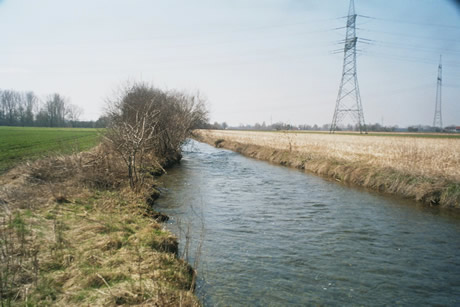 Pferdepension Am Rosengarten