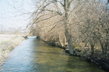 Pferdepension Am Rosengarten