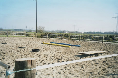 Pferdepension Am Rosengarten